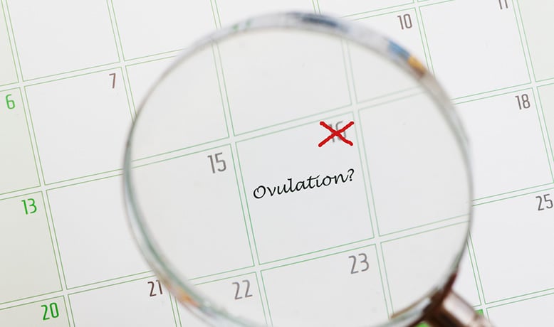 calcul ovulation